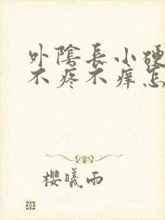 外阴长小硬疙瘩不疼不痒怎么回事