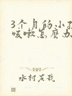 3个月的小孩子咳嗽怎么办