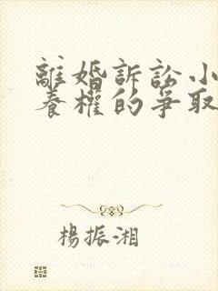 离婚诉讼小孩抚养权的争取