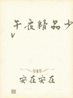 午夜精品少妇av