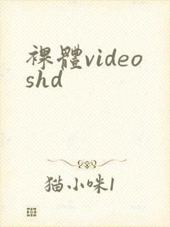 裸体videoshd封面