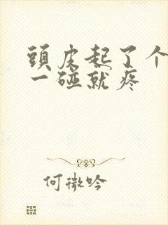 头皮起了个疙瘩一碰就疼