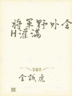 将军野外含公主H灌满