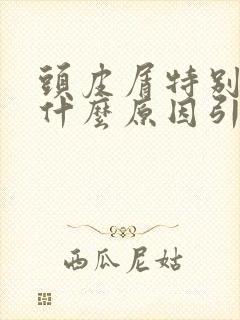 头皮屑特别多是什么原因引起的