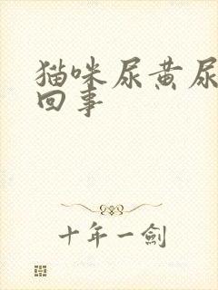 猫咪尿黄尿怎么回事