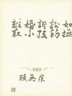 离婚诉讼如何争取小孩的抚养权封面