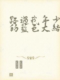 路过我年少时光的蓝色大结局