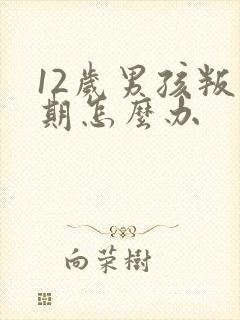 12岁男孩叛逆期怎么办封面