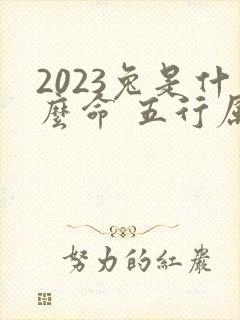 2023兔是什么命 五行属什么