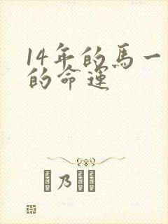 14年的马一生的命运封面