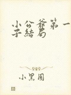 小公爷第一个娘子结局
