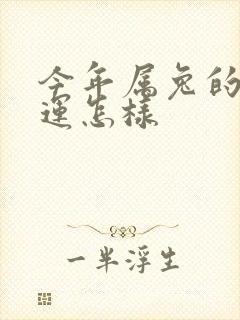 今年属兔的人财运怎样