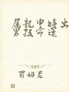 属龙申时出生的男孩命运