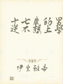 十七岁的男孩叛逆不想上学该怎么办封面