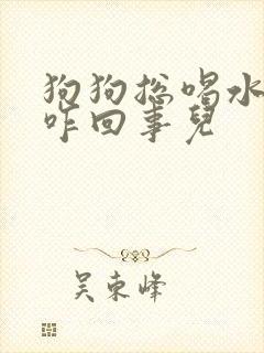 狗狗总喝水总尿咋回事儿