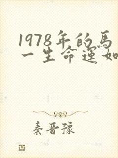 1978年的马一生命运如何封面