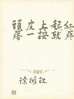 头皮上起红色疙瘩一按就疼