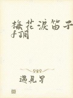 梅花泪笛子简谱f调