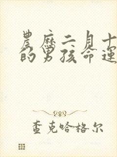 农历二月十九生的男孩命运如何