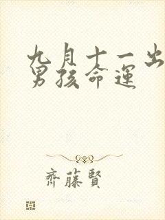 九月十一出生的男孩命运