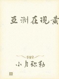 亚洲在现黄色片