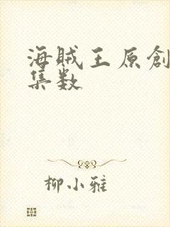 海贼王原创剧情集数