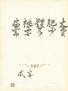 扁桃体肥大治疗需要多少费用