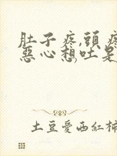 肚子疼,头疼,恶心想吐是什么原因