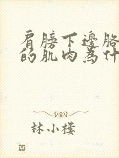 肩膀下边胳膊上的肌肉为什么会疼