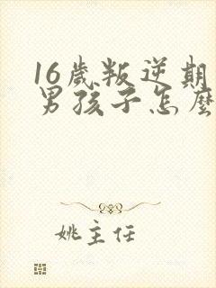 16岁叛逆期的男孩子怎么管封面