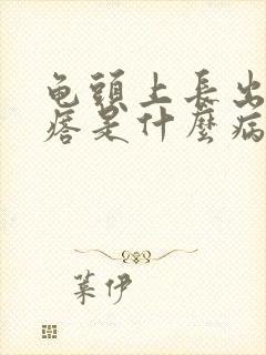 龟头上长出小疙瘩是什么病封面