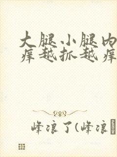 大腿小腿内侧痒痒越抓越痒有小红疙瘩