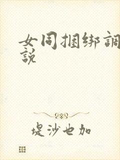 女同捆绑调教小说封面