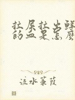 拉屎拉出鲜红色的血是怎么回事