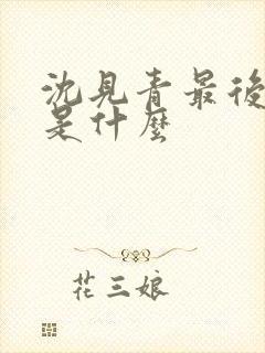 沈见青最后结局是什么