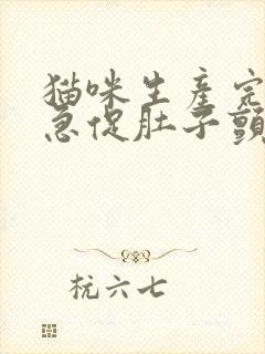 猫咪生产完呼吸急促肚子颤动怎么回事