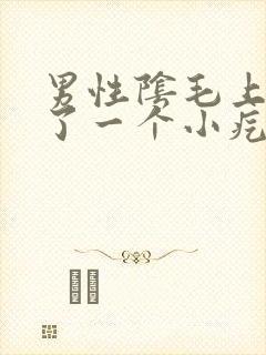 男性阴毛上面长了一个小疙瘩封面