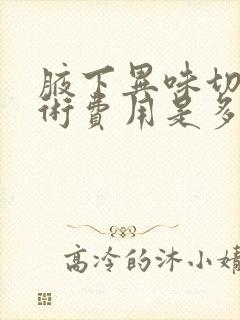 腋下异味切除手术费用是多少封面