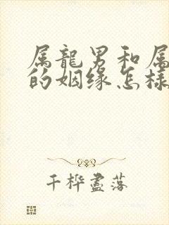 属龙男和属鼠女的姻缘怎样封面