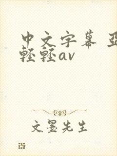 中文字幕 亚洲轻轻av