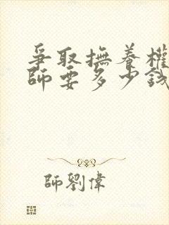 争取抚养权请律师要多少钱封面