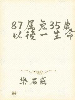 87属兔35岁以后一生命运封面