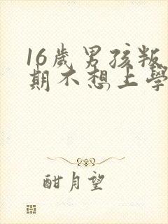 16岁男孩叛逆期不想上学怎么办