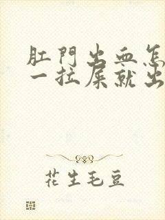 肛门出血怎么办一拉屎就出血