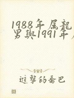 1988年属龙男与1991年属羊女婚配