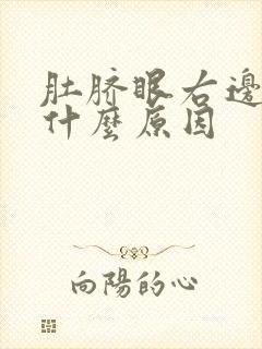 肚脐眼右边疼是什么原因封面