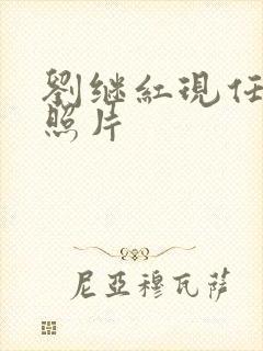 刘继红现任丈夫照片