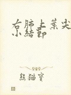 右肺上叶尖段微小结节