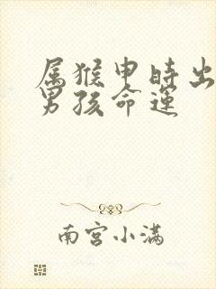 属猴申时出生的男孩命运