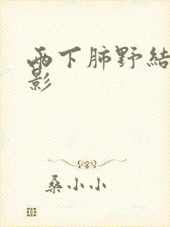 两下肺野结节状影